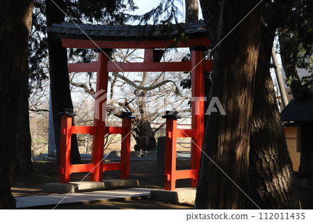 The torii gate of Hisazu Shrine in Hasuda City, Saitama Prefecture in winter The torii gate of Hisazu Shrine in Hasuda City, Saitama Prefecture in winter 112011435