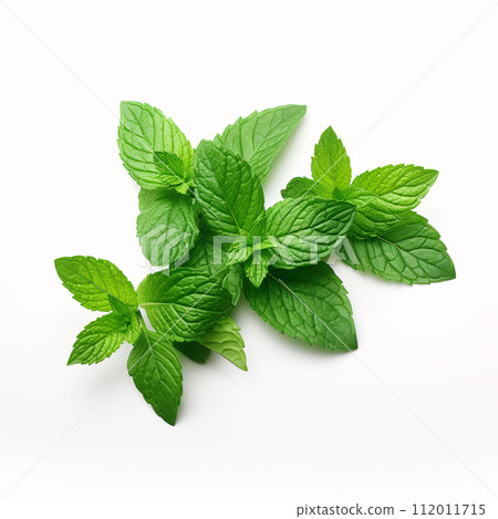Mint leaves on a white background Mint leaves on a white background 112011715