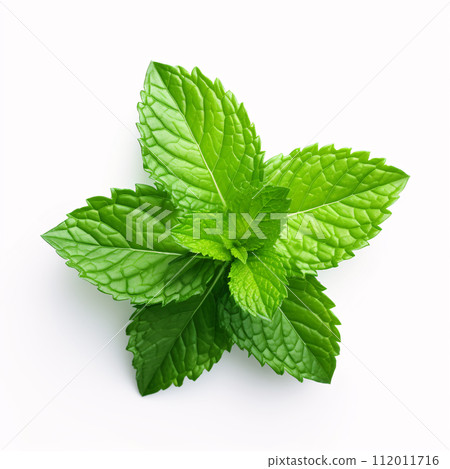 Mint leaves on a white background Mint leaves on a white background 112011716