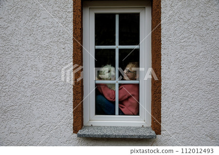 School girl and little maltese dog sitting by window and looking out. View from outdoors. Happy child and puppy pet 112012493