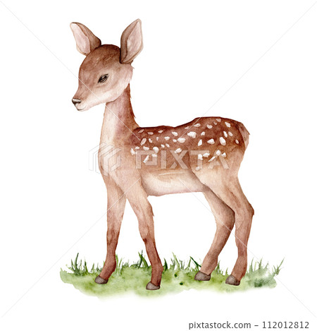 Watercolor baby deer on abstract green grass. Spotted deer isolated on white background. Hand painted wild animal template for fabric. Realistic animal for design and print or background. 112012812