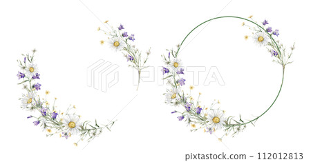 Wreath of yellow and white flower meadow, forest flowers. Watercolor hand painting illustration on isolate. Circlet of flowers with daisy or chamomile and violet bluebell. Botanical summer wildflower. 112012813