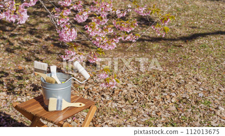 Cherry blossoms and painting tools | Renovation, painting contractor, DIY image 112013675