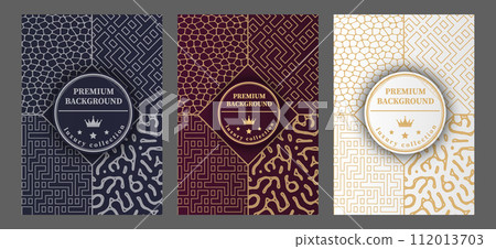 A luxurious pattern. A set of spectacular patterns for covers, prints, interior design, packaging, premium funds and creative ideas 112013703