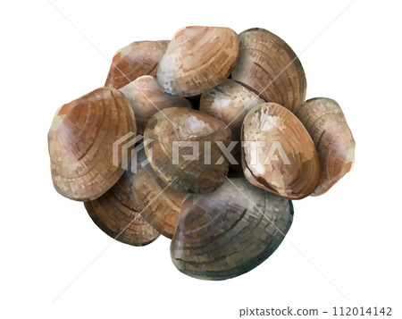 蛤蜊(12只) 蛤蜊(12只) 112014142