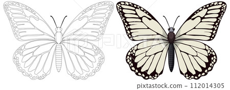 Monarch Butterfly Illustration and Outline Monarch Butterfly Illustration and Outline 112014305
