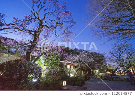 竹園 竹園 112014877