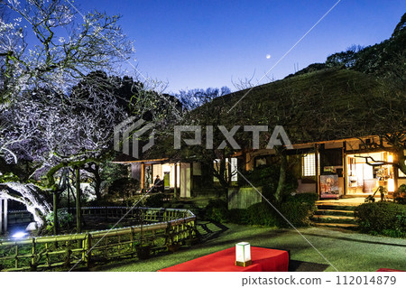 Bamboo garden 112014879