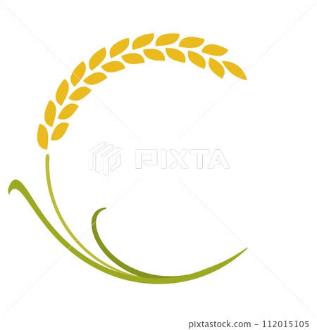 rice frame 112015105