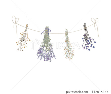Doodle dried grass bunches of hanging herbs on rope. Herbarium, witchcraft ingredients, aromatherapy cartoon clipart Vector illustration isolated on white background. 112015163