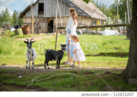 Two cute black and white goats on an animal farm on a sunny day. Behind them a mother and her little daughter are walking. 112015207