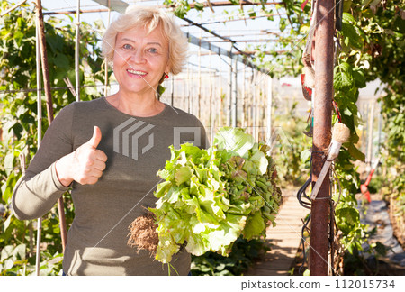 Senior woman taking greens in her hands 112015734