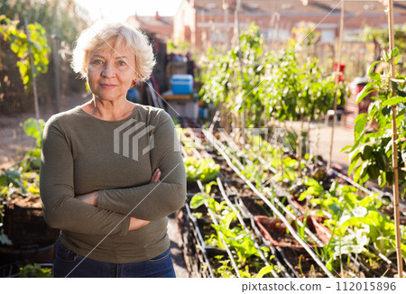 Portrait of senior woman in garden 112015896