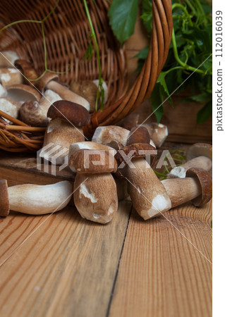 Selective focus on beautyfull porcini mushroom among the pile of wild porcini mushrooms on wooden background at autumn season.. 112016039