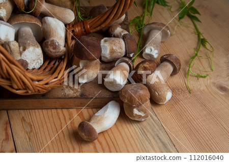Pile of wild porcini mushrooms on wooden background at autumn season.. 112016040