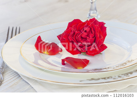 Romantic place setting for dinner 112016103