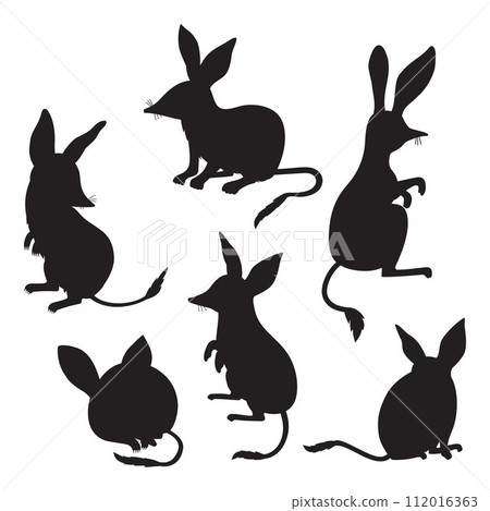 Australian animal bilbies set. Isolated black silhouette drawings. Vector illustration. 112016363