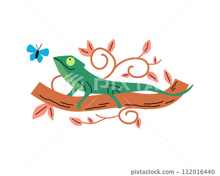 Chameleon and butterfly vector illustration 112016440