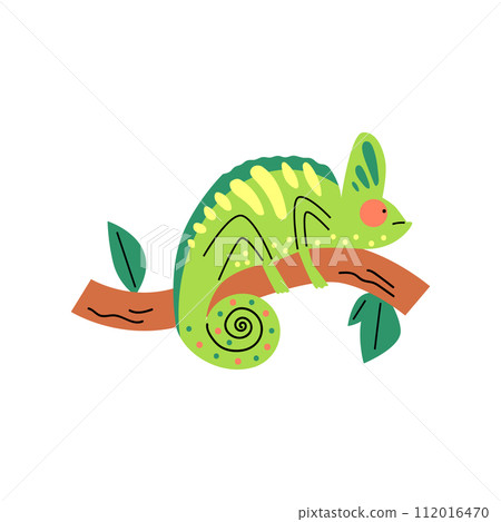 Cute small green chameleon on tree branch, vector cartoon tropical lizard, predator animal, exotic pet from wild jungle 112016470