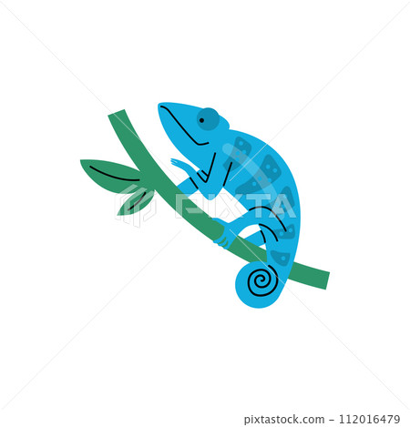 Blue chameleon on branch vector illustration 112016479