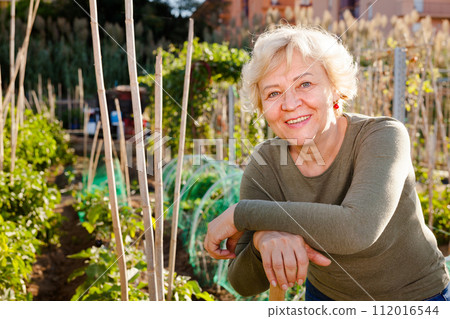 Portrait of senior woman in garden 112016544