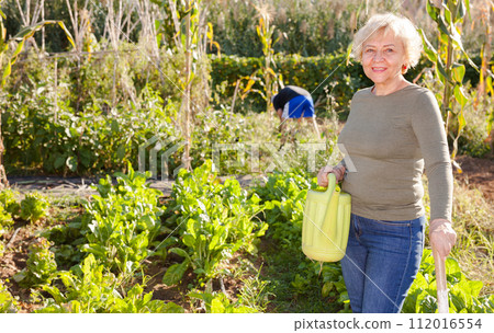 Woman holding watering can in her hands Woman holding watering can in her hands 112016554