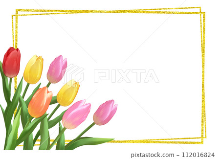 Tulip and gold leaf frame background 112016824