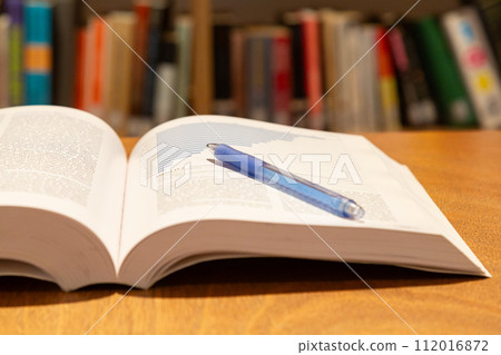 English book and pen open on the desk Research learning image English book and pen open on the desk Research learning image 112016872