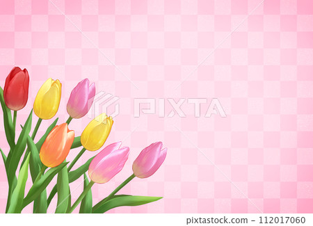 Checkered background with tulips 112017060