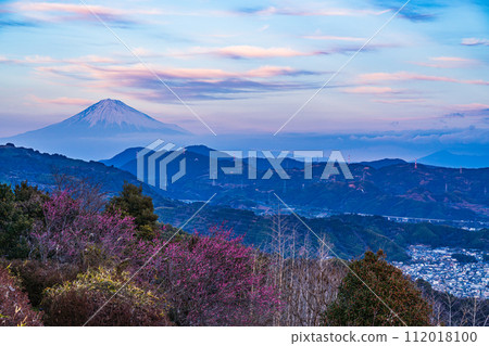 (靜岡縣)黃昏時從梶原山公園看到的富士山 (靜岡縣)黃昏時從梶原山公園看到的富士山 112018100