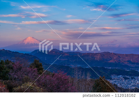 (Shizuoka Prefecture) Mt. Fuji seen from Kajiwarayama Park at dusk (Shizuoka Prefecture) Mt. Fuji seen from Kajiwarayama Park at dusk 112018102