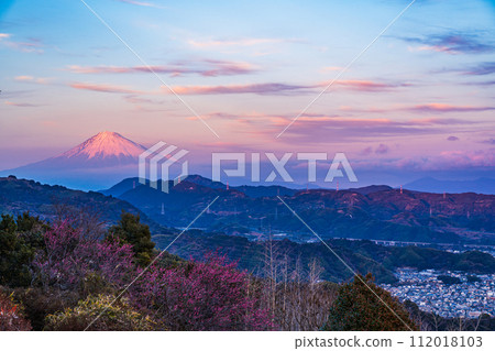 (Shizuoka Prefecture) Mt. Fuji seen from Kajiwarayama Park at dusk 112018103