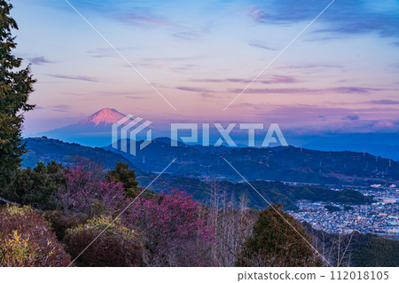 (Shizuoka Prefecture) Mt. Fuji seen from Kajiwarayama Park at dusk 112018105