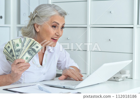 Portrait of senior business woman working in office 112018186