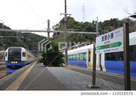 255系特急「若潮」停靠阿房小湊站_2024年1月31日拍攝 255系特急「若潮」停靠阿房小湊站_2024年1月31日拍攝 112018533