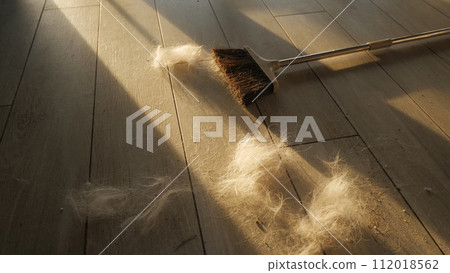Sweeping Brush and Pet Fur: Clean-up Essentials 112018562