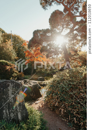 Beautiful Japanese Garden and red trees at autumn seson. A burst of fall color with pond reflections. 112018650