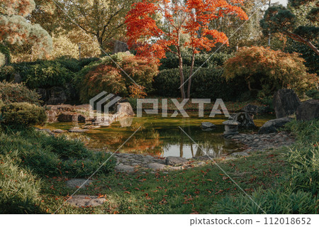 Beautiful Japanese Garden and red trees at autumn seson. A burst of fall color with pond reflections. 112018652