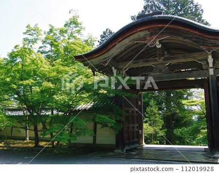 Scenery of Nison-in Temple during the time of fresh greenery 112019928