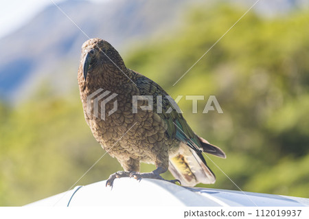 Milford Sound care Milford Sound care 112019937