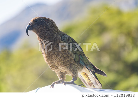 Milford Sound care 112019938