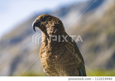 Milford Sound care 112019940