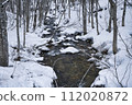 積雪的河 112020872