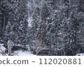 在雪地裡 112020881