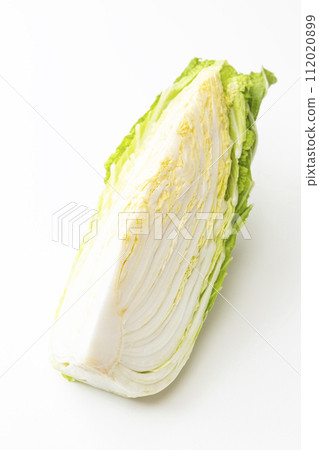 Chinese cabbage on a white background 112020899