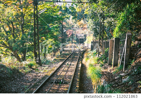 [#Mt.Hiei] Mt. Eizan Cable 112021863