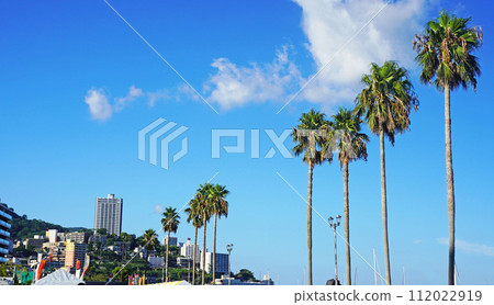 靜岡縣熱海市的風景（熱海水上樂園的棕櫚樹） 112022919