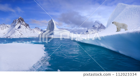 Polar Bear - Northwest Fjord - Greenland 112023334