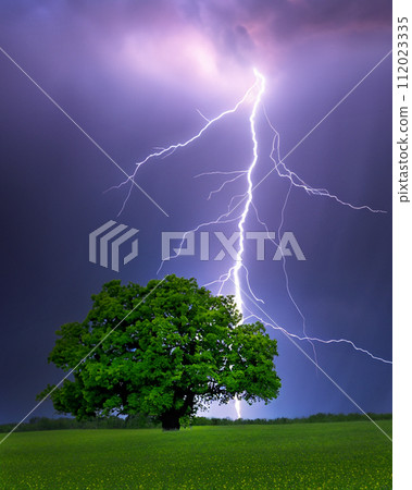 Lightning Strike Lightning Strike 112023335