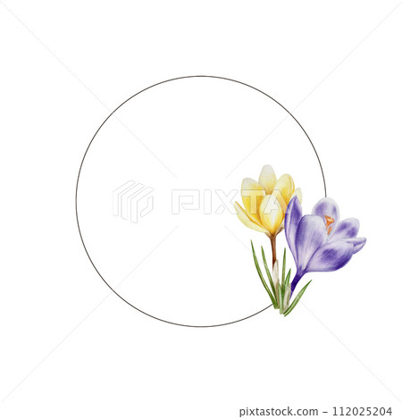 Watercolor frame, logo with yellow, purple and white blooming crocus flowers isolated on white background. Spring and easter template, botanical hand painted saffron illustration. For designers, 112025204